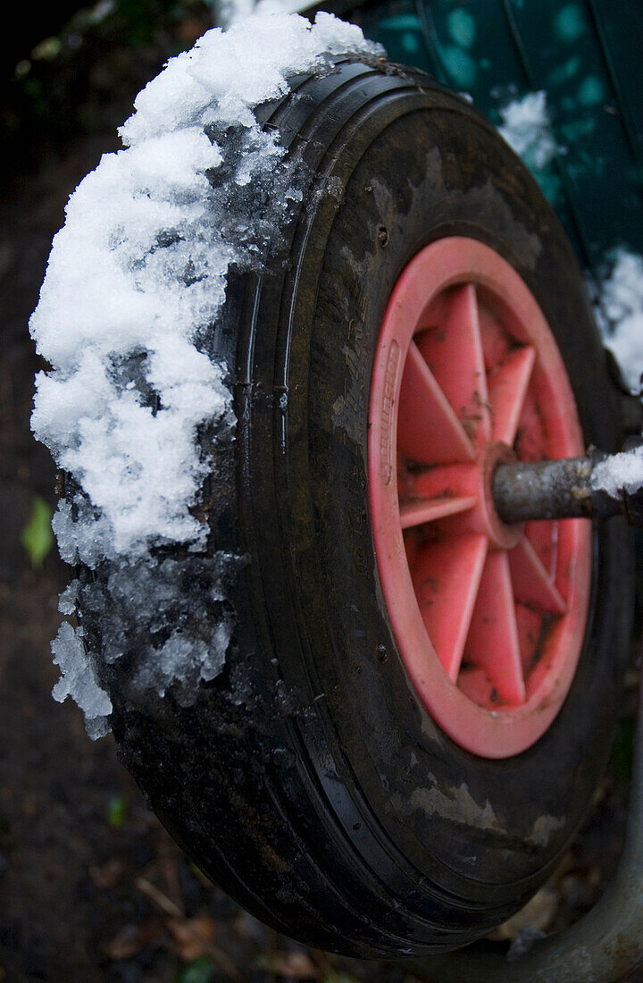 Uk,Close Up,London,Snow Covered Wheelbarrow