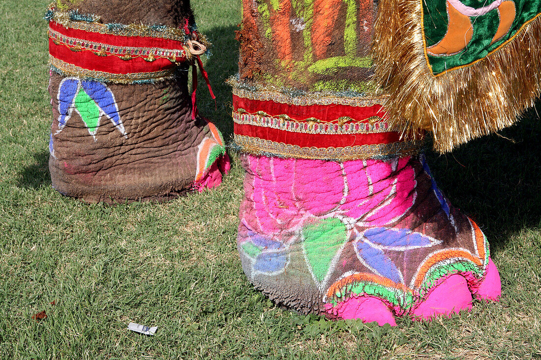 Beim Elefantenfest, Jaipur, Hauptstadt von Rajasthan, Indien. Jährlich stattfindende Veranstaltung im Chaughan-Stadion innerhalb der alten Stadtmauern von Jaipur. Beliebtes Ereignis für Touristen, das einen Tag vor dem indischen Fest Holi stattfindet, das traditionell in Indien als das