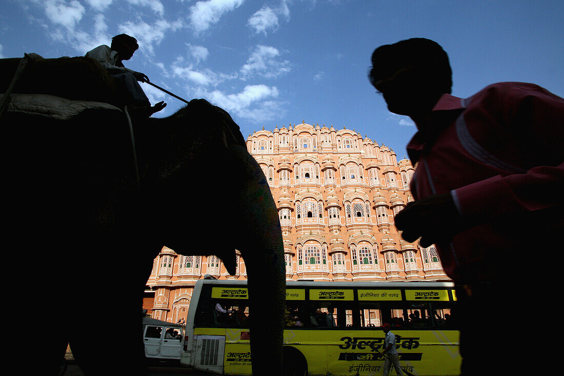 Elephant at Hawa Mahal City Palace,Jaipur's most distinctive landmark,Jaipur,Rajasthan State,India.