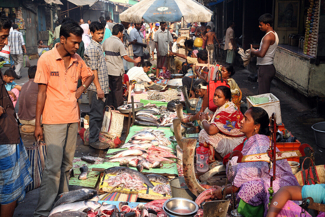 Fischmarkt neben dem geschlossenen New Market in der Nähe der Sudder Street, einem beliebten Viertel für Rucksacktouristen in Kalkutta / Kolkata, der Hauptstadt des Bundesstaates Westbengalen, Indien, Asien.