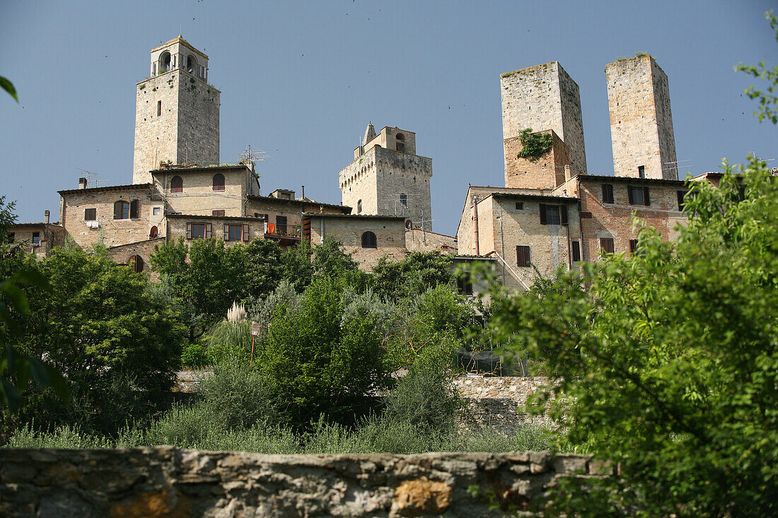 Birds Flying Amongst The Towers Of San Gimignano,A Famous Medieval Hilltop Town With Old Towers,In Tuscany. Italy. June.