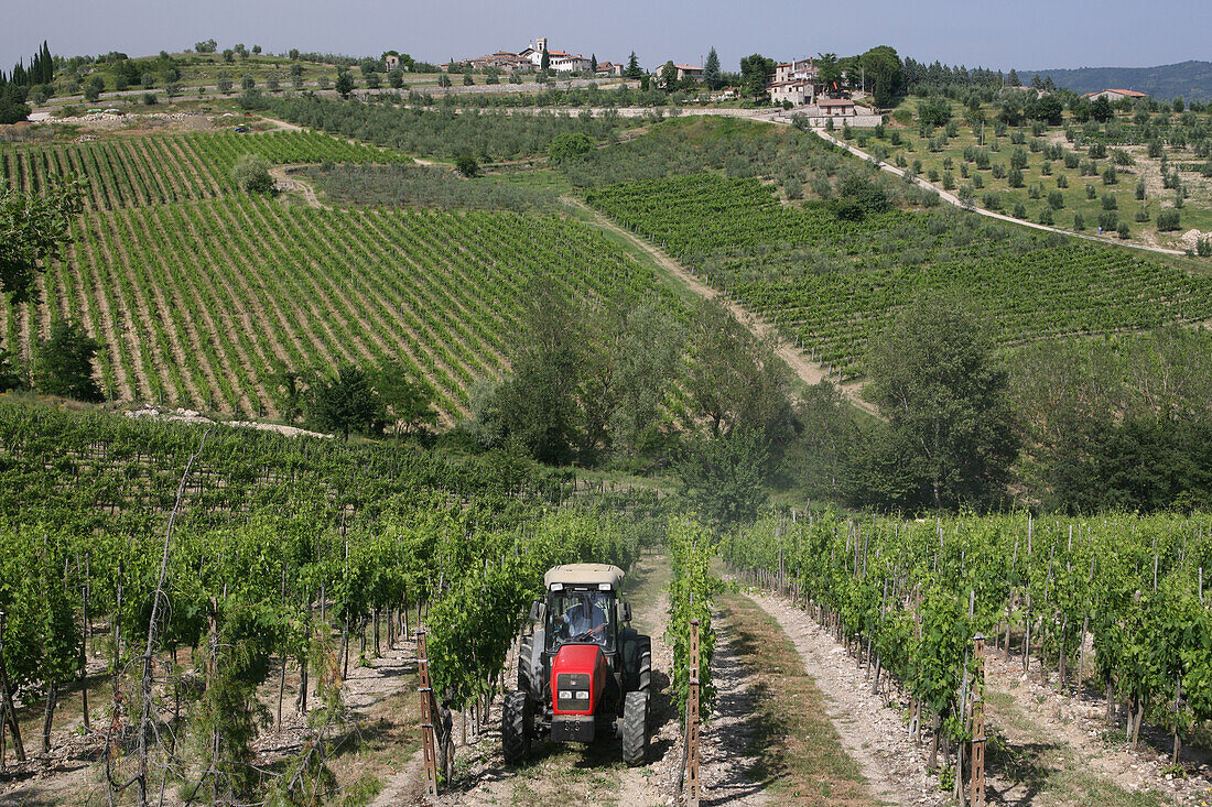 Typische Toskana-Szene mit Weinbergen in 'Radda In Chianti', einer schönen kleinen Stadt und einer berühmten Region, die für ihren Chianti-Wein bekannt ist, in der Toskana. Italien. Juni.