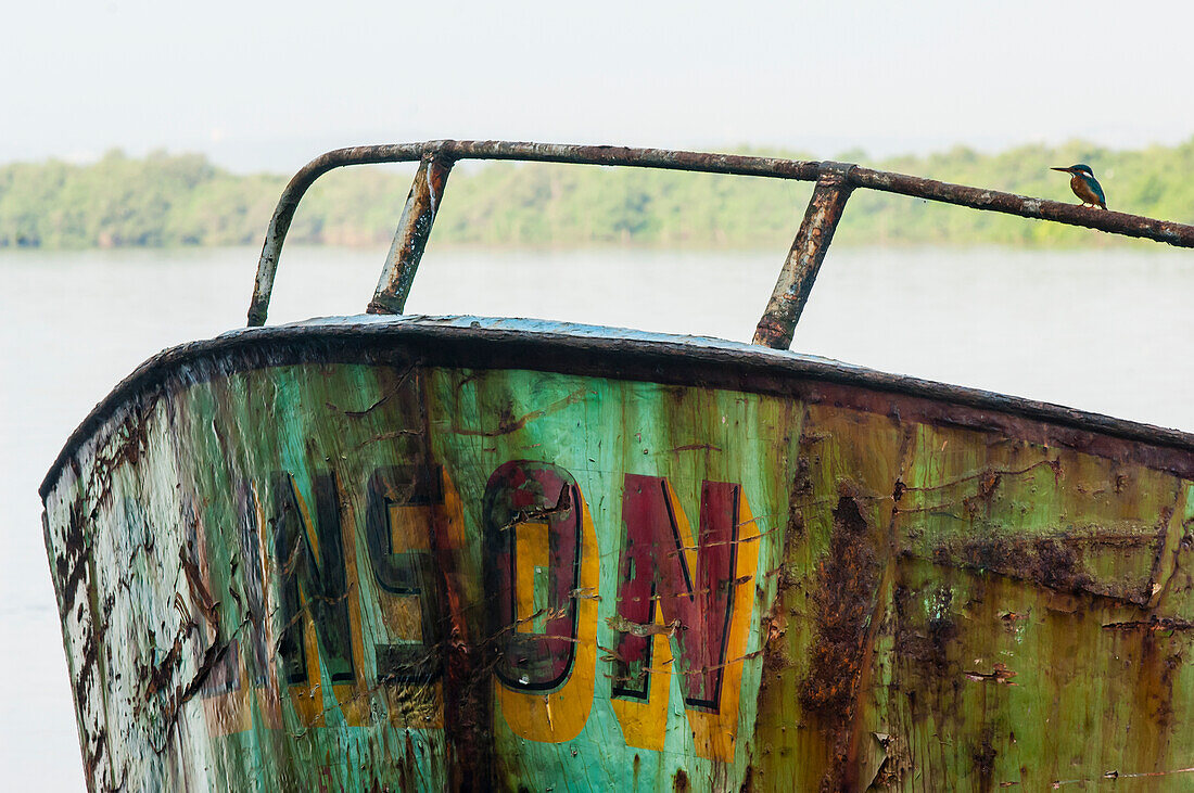 India,Kingfisher On A Cargo Barge On Mandovi River,Old Goa