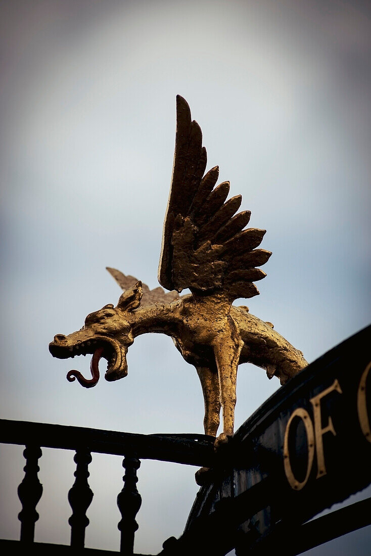 UK,England,Richmond,London,Richmond Park,Detail eines geflügelten Drachens