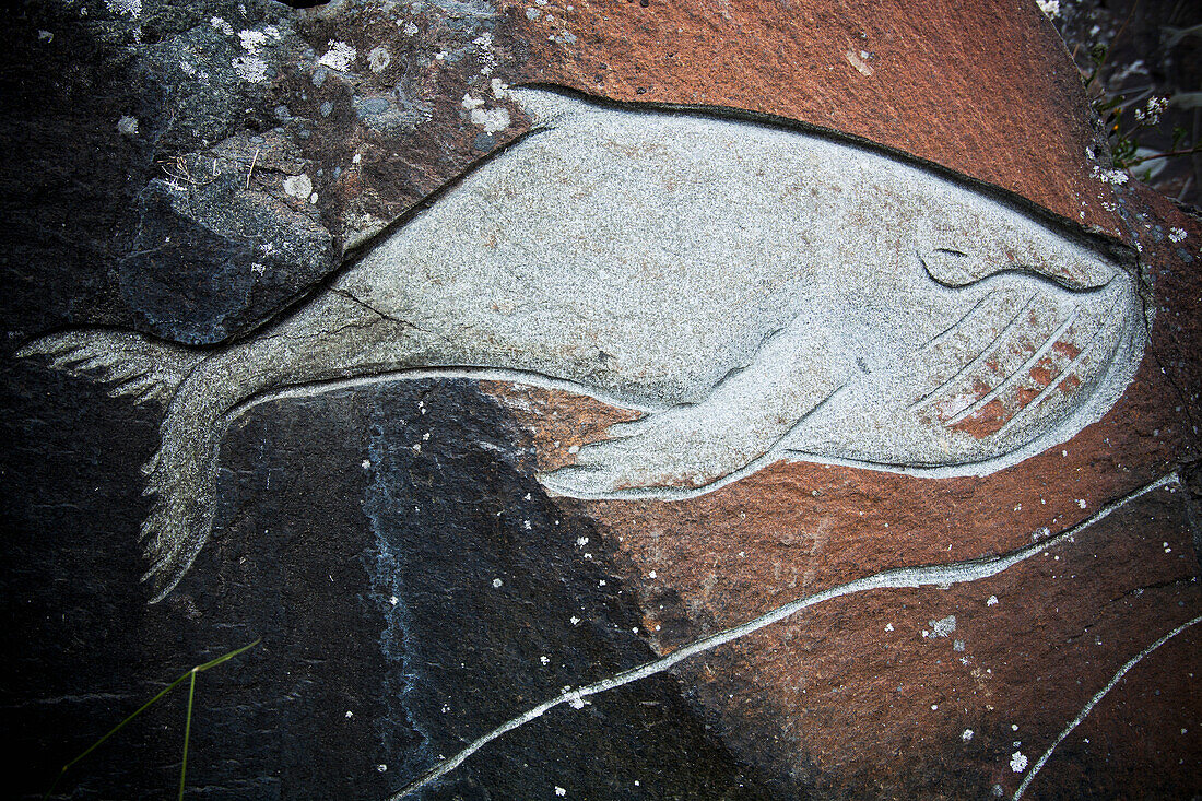 Dänemark,Grönland,Walschnitzereien auf Felsen,Qaqortoq (Julianehab)