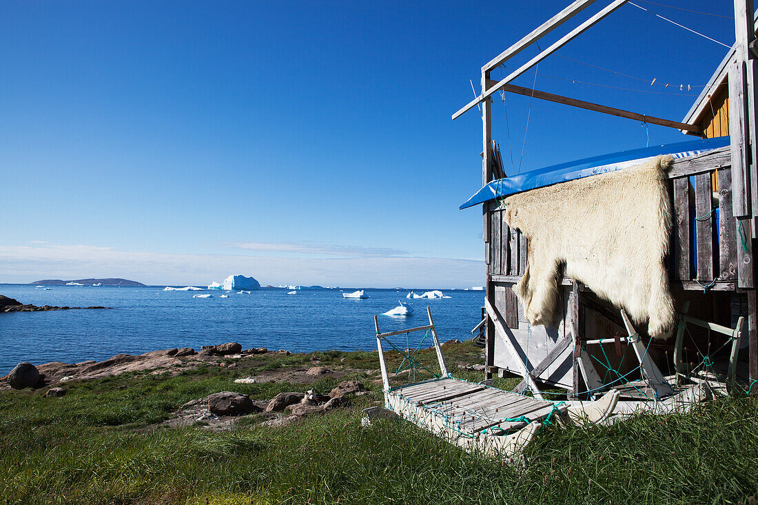 Denmark,Greenland,Polar bear skin,Upernarvik