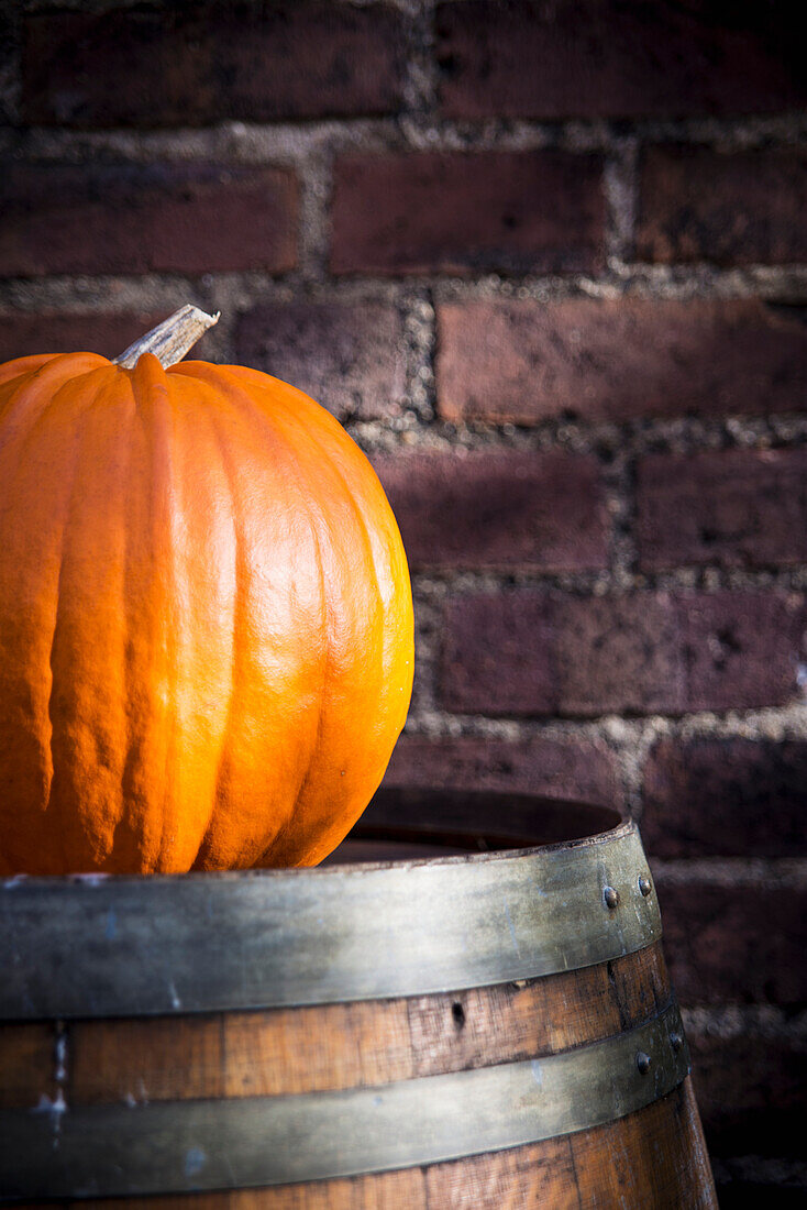 Denmark,Close-up of Pumpkin,Copenhagen