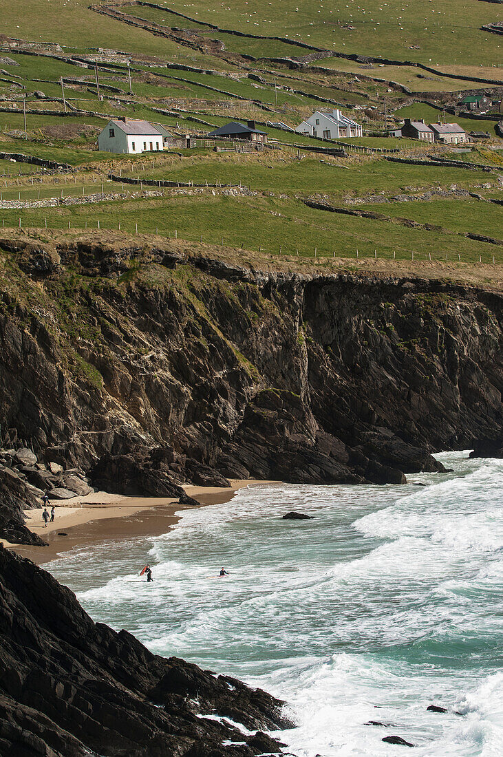 UK,Ireland,County Kerry,Dingle,Surfers at Coumeenoole