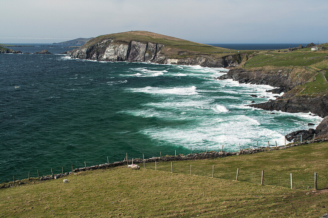 Wellen brechen gegen Dunmore Head, Dingle, County Kerry, Irland, UK