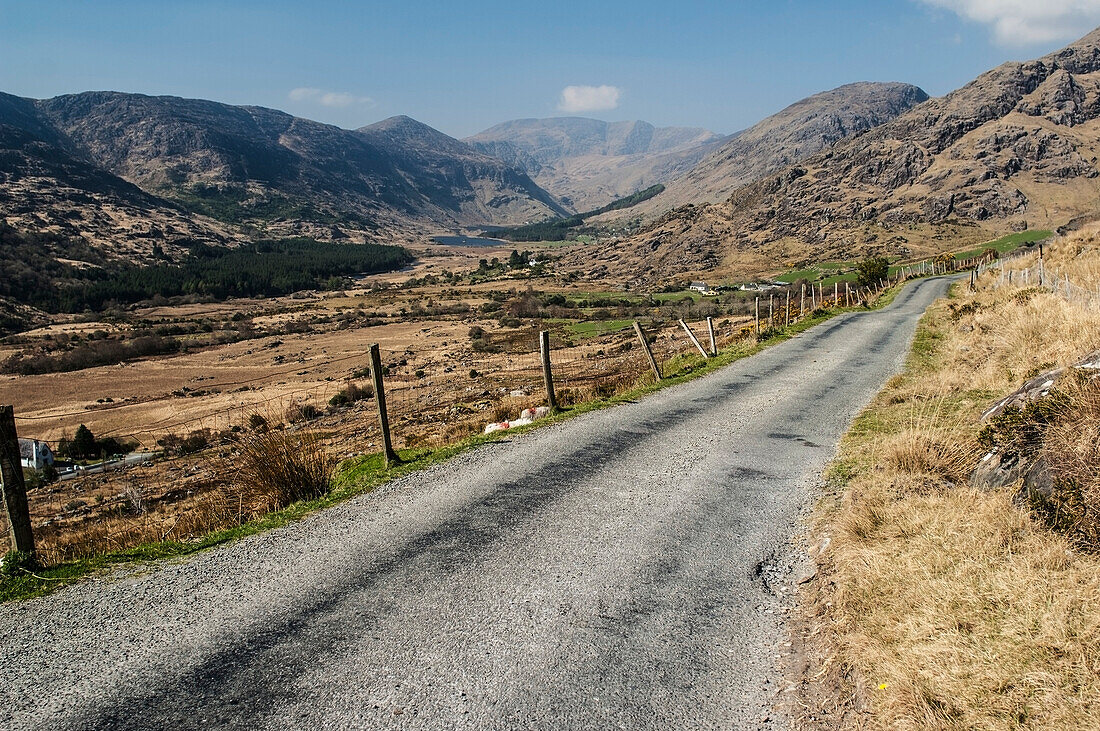 UK,Ireland,County Kerry,Iveragh Peninsula,Road through Gap of Dunloe