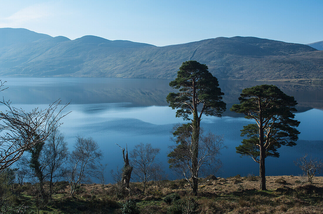 UK,Ireland,County Kerry,Iveragh Peninsula,Cloonaghlin Lough