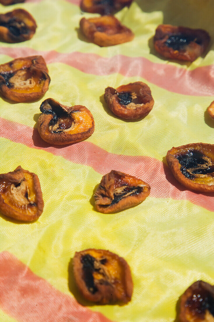 Greece,Halkidiki,Apricot halves drying in sun,Sithonia