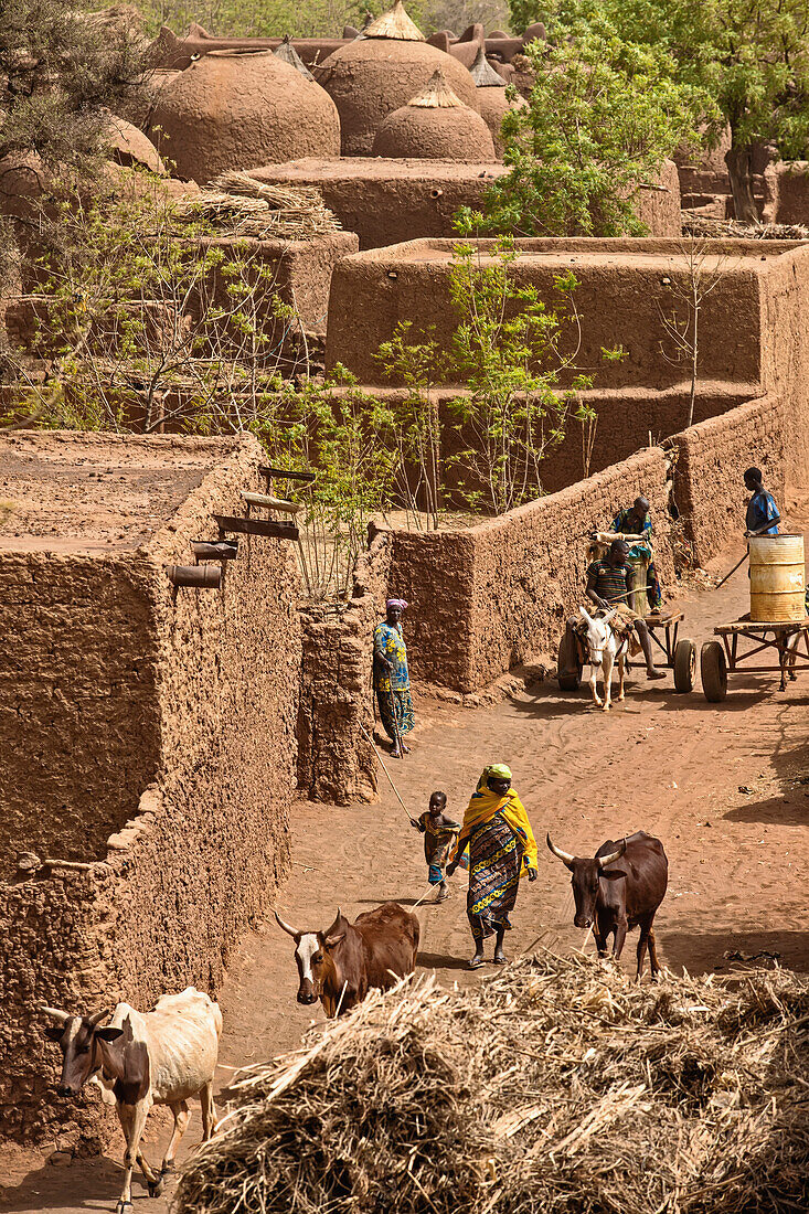 Niger,Tahoa Region,Vom Dach der weltberühmten Freitagsmoschee erbaut 1962-1982 von Baumeister El Hadji Falke Barmou,Yaama Dorf,Luftaufnahme von Yaama Dorf