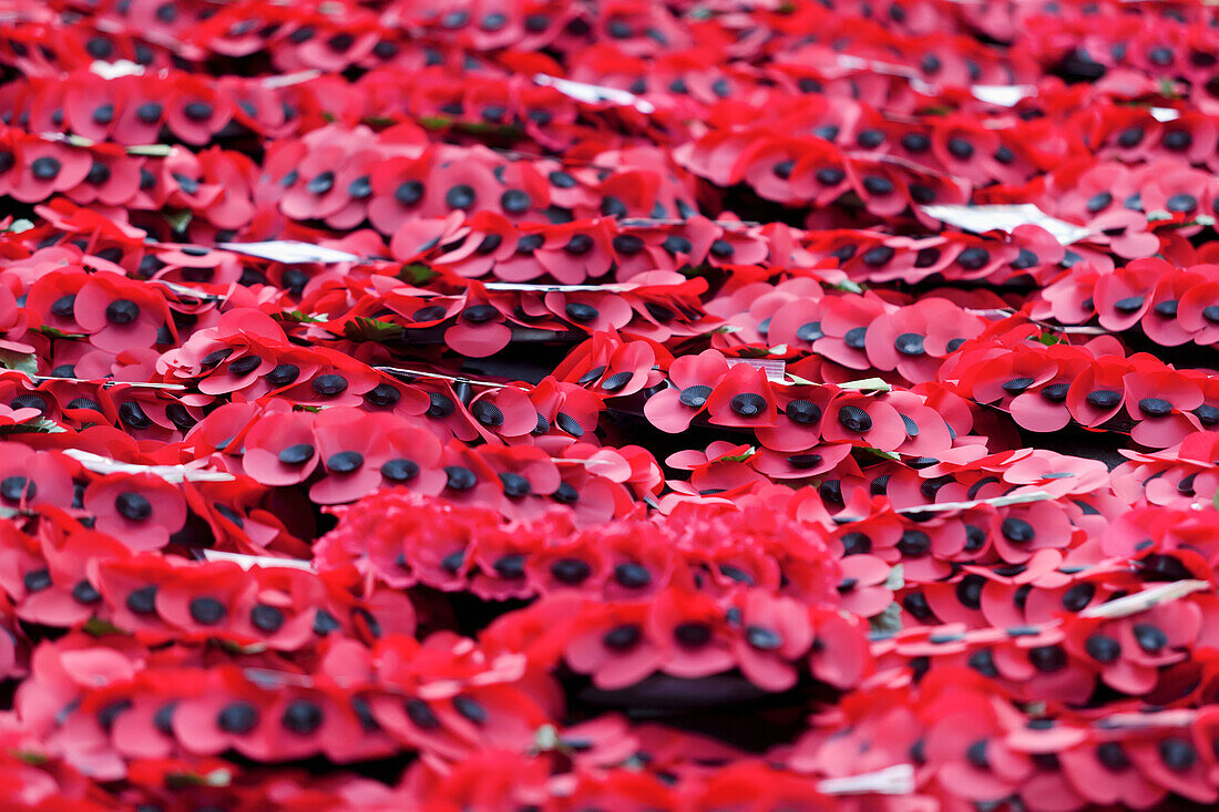 Poppies At Cenotaph On Remembrance Sunday,London,England,Uk