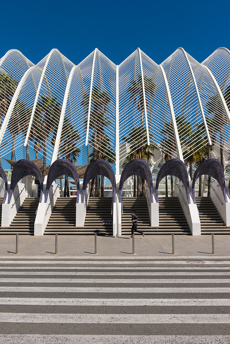 View Of Umbracle And Palm Trees In Ciudad De Las Artes Y Las Ciencias (City Of Arts And Sciences),Valencia,Spain