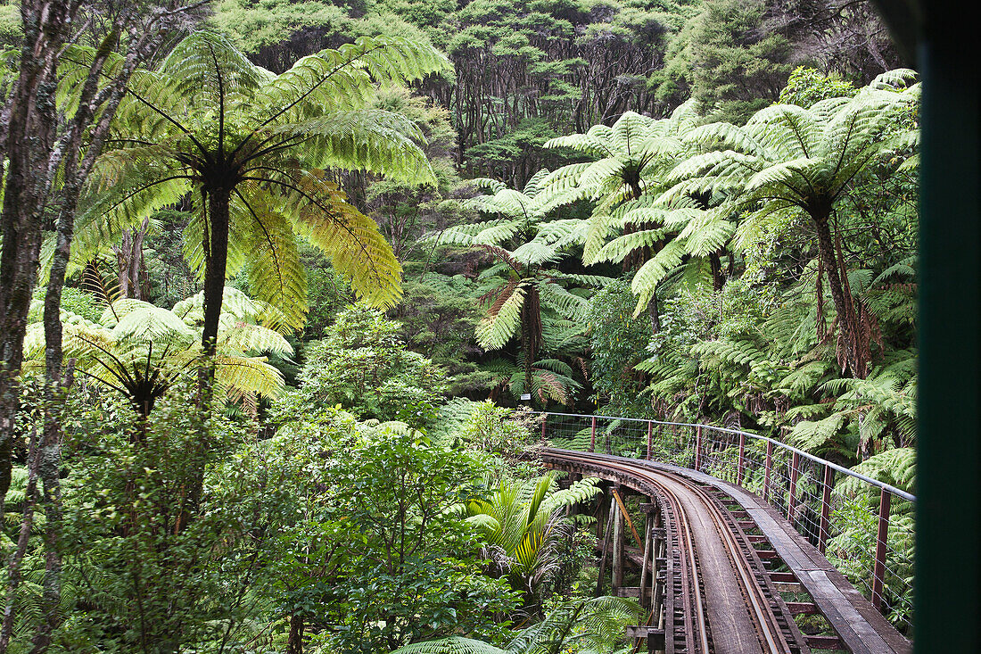 Schmaler Schienenstrang im Wald, Neuseeland