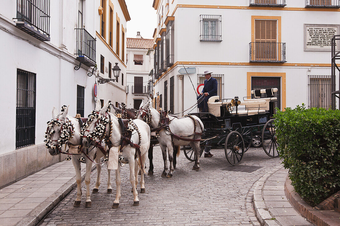 Pferdewagen im Stadtteil Santa Cruz, Sevilla, Andalusien, Spanien