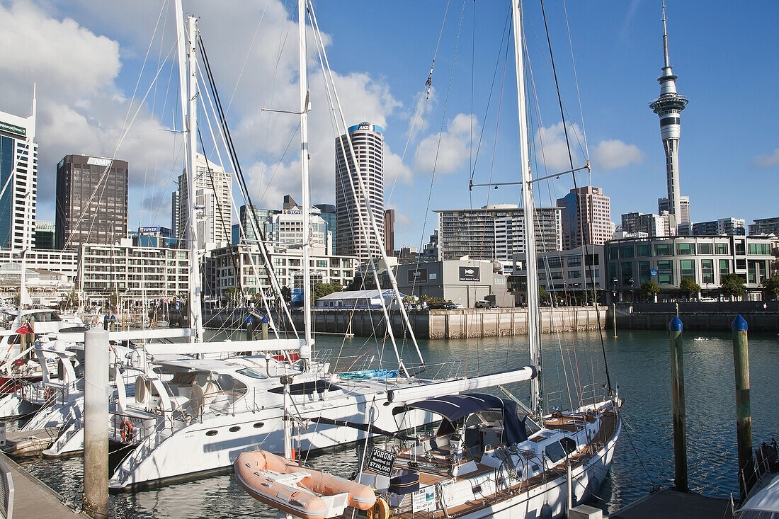 Harbour,New Zealand