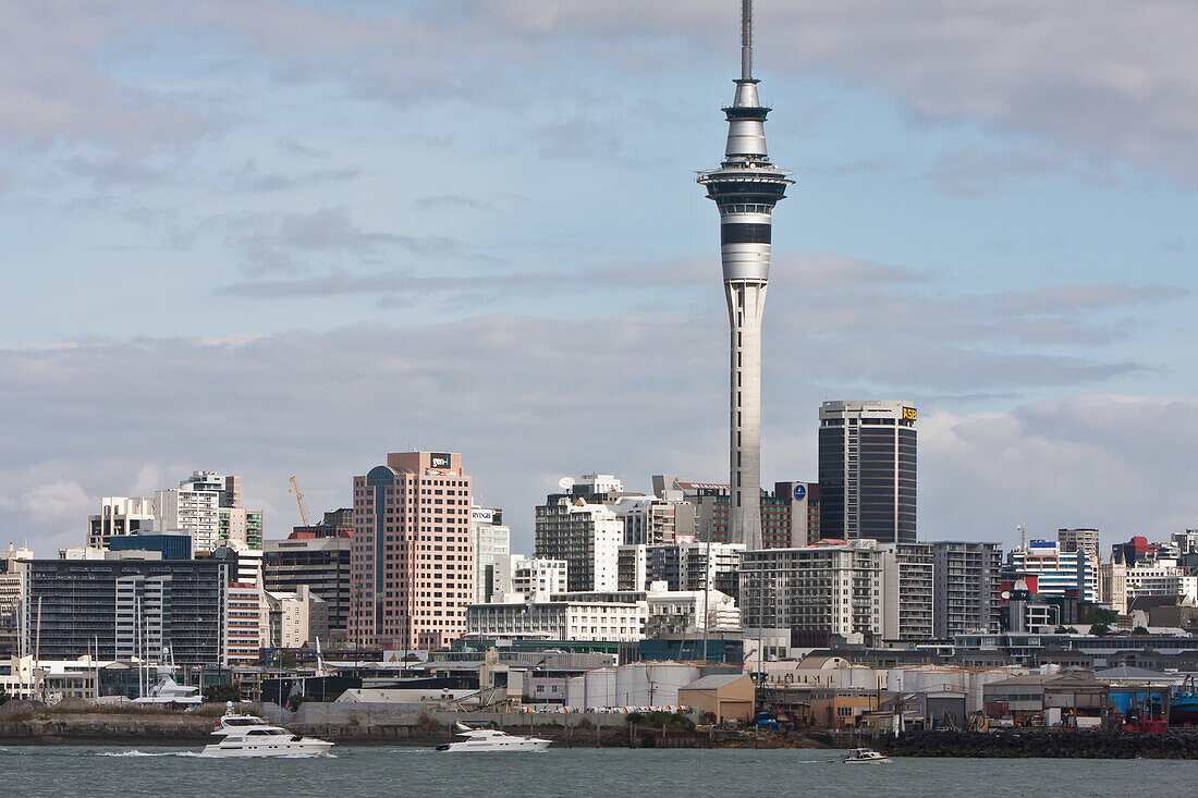 View Of City,New Zealand