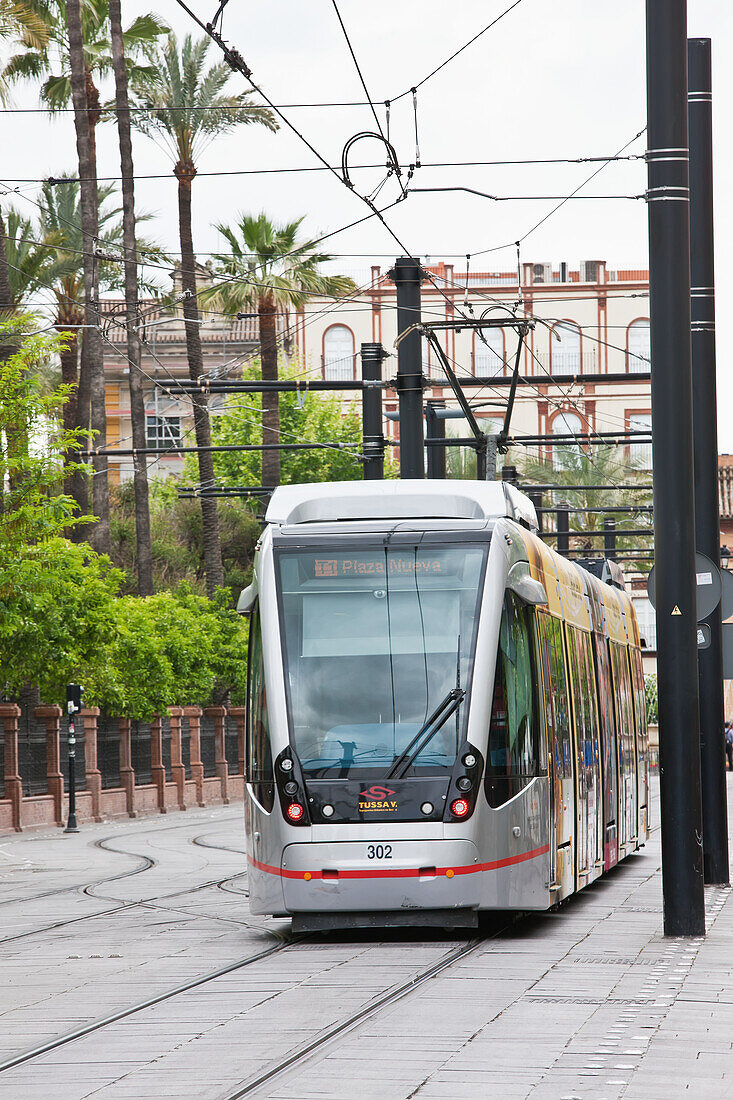 Moderne Straßenbahn, Sevilla, Andalusien, Spanien, Europa