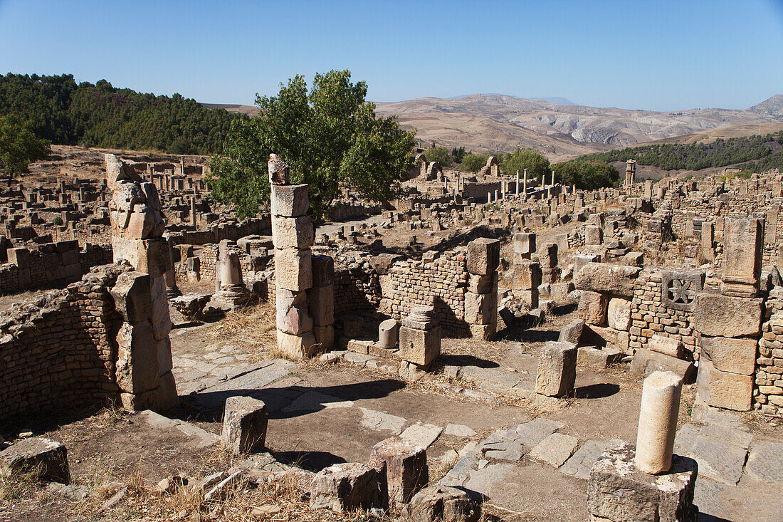 Römische Ruinen,Christliches Viertel,Djemila,Algerien