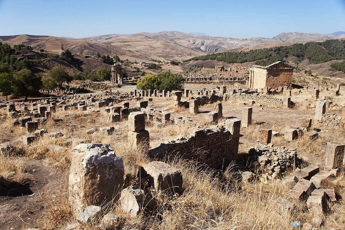 Römische Ruinen,Blick auf den Severan-Tempel,Djemila,Algerien