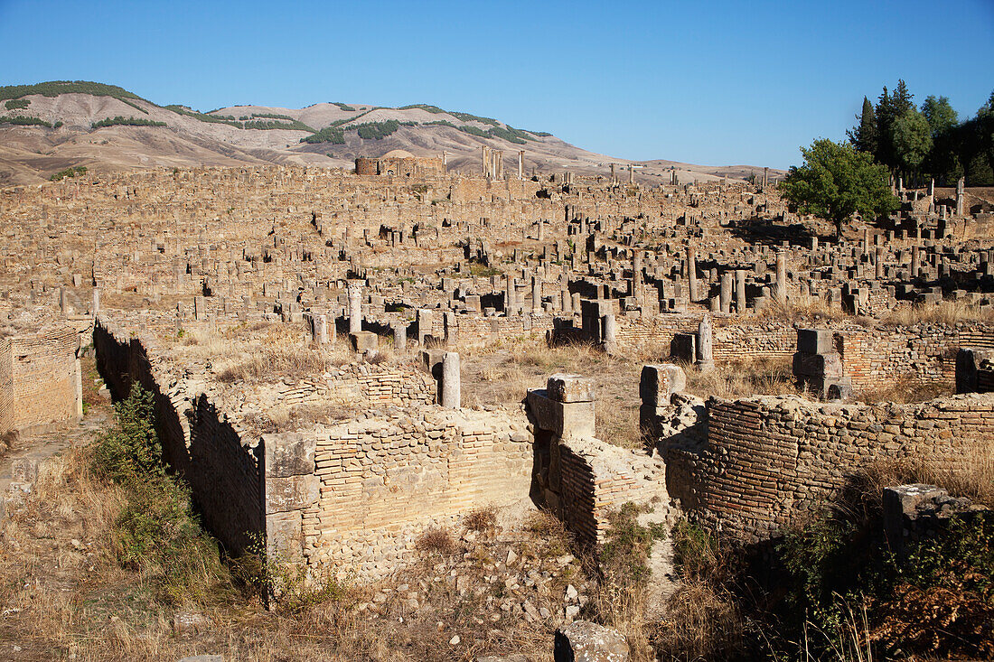 Römische Ruinen des christlichen Viertels,Djemila,Algerien