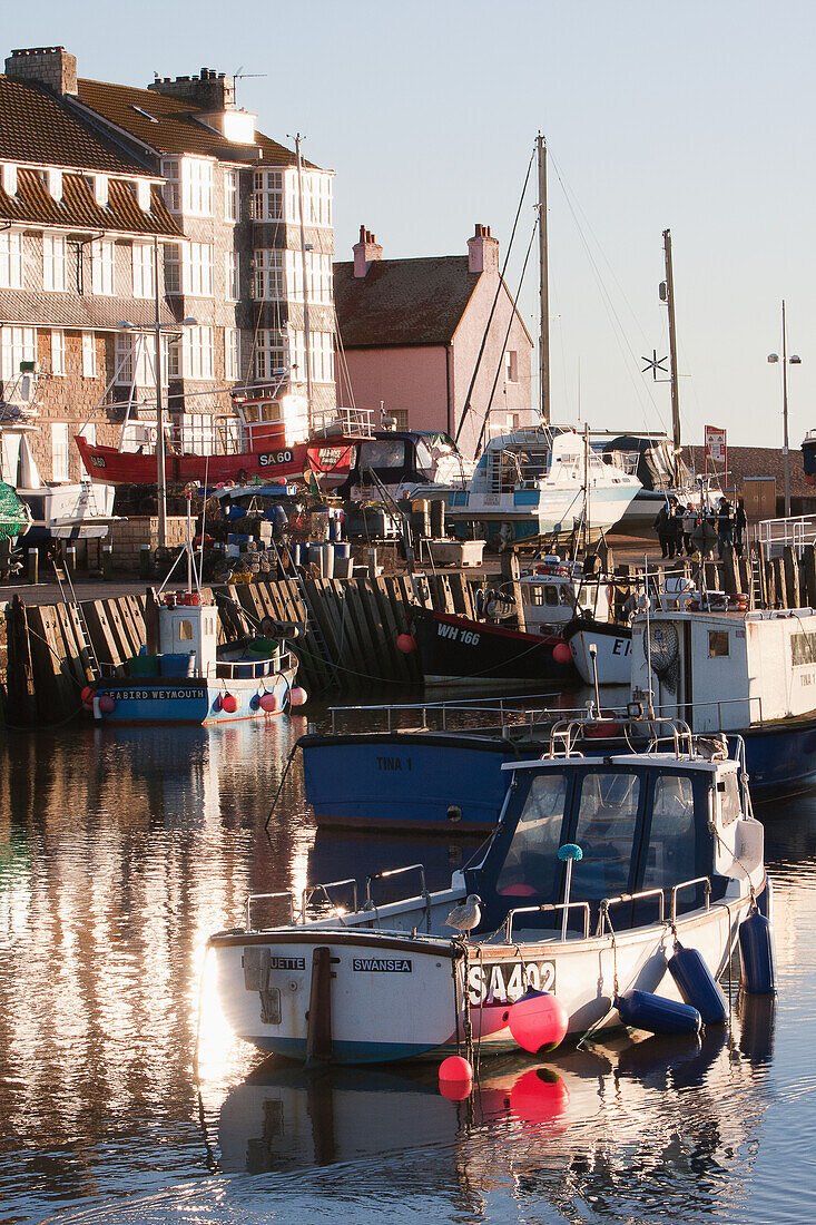 West Bay Harbor On Jurassic Coast,South West Coast Path,Near Bridport,Dorset,England,Uk