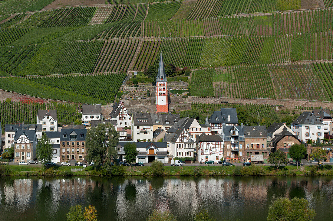 Felder und ein Dorf am Rande eines Flusses im Moseltal,Zell,Rheinland-Pfalz,Deutschland