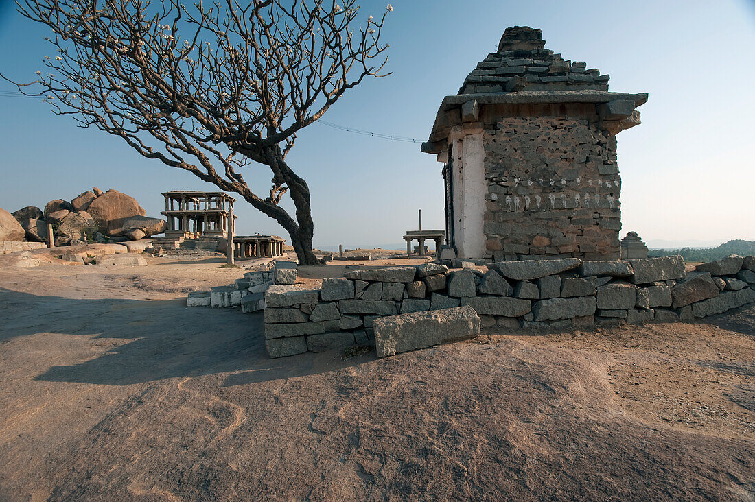 Religious And Historic Structure Beside A Leafless Tree,Hampi,Karnataka,India