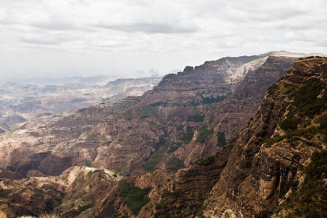 Simien Mountains,Near Debarq,Amhara Region,Ethiopia