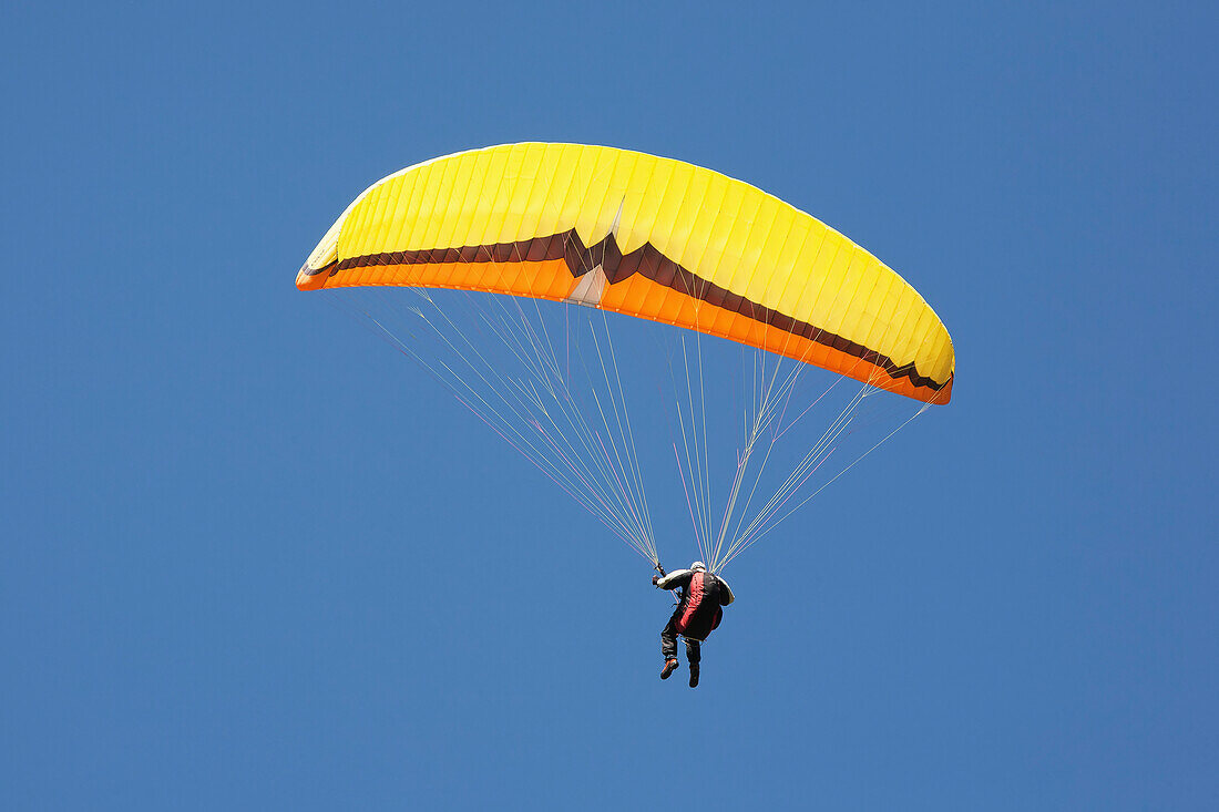 Paraglider Above Chamonix-Mont Blanc Valley,France