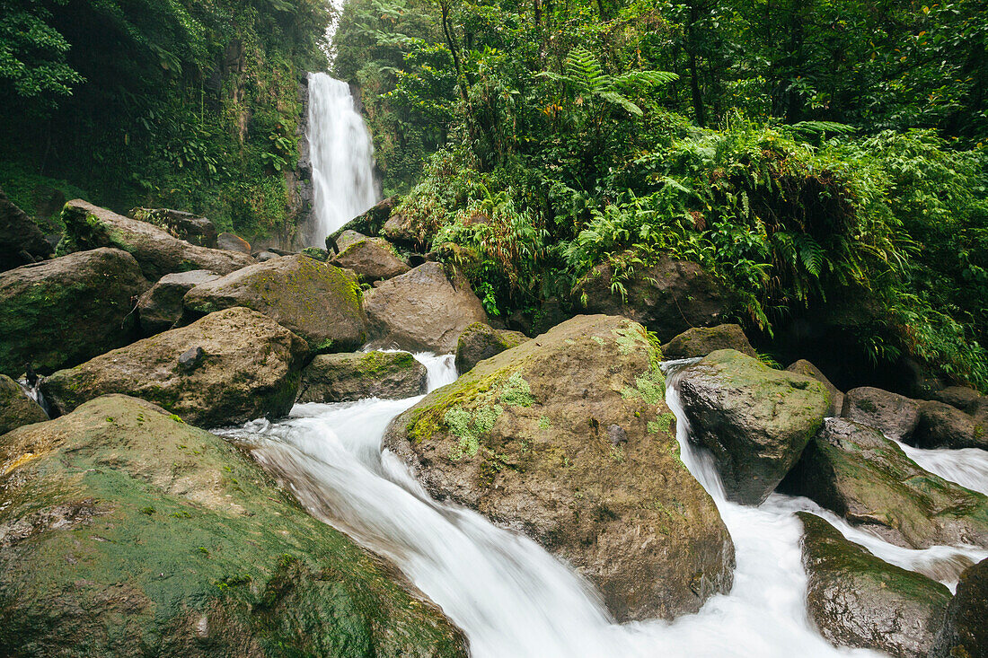 Blick auf die üppige Vegetation und das rauschende Wasser der Trafalgar Falls auf der Karibikinsel Dominica im Morne Trois Pitons National Park,Dominica,Karibik