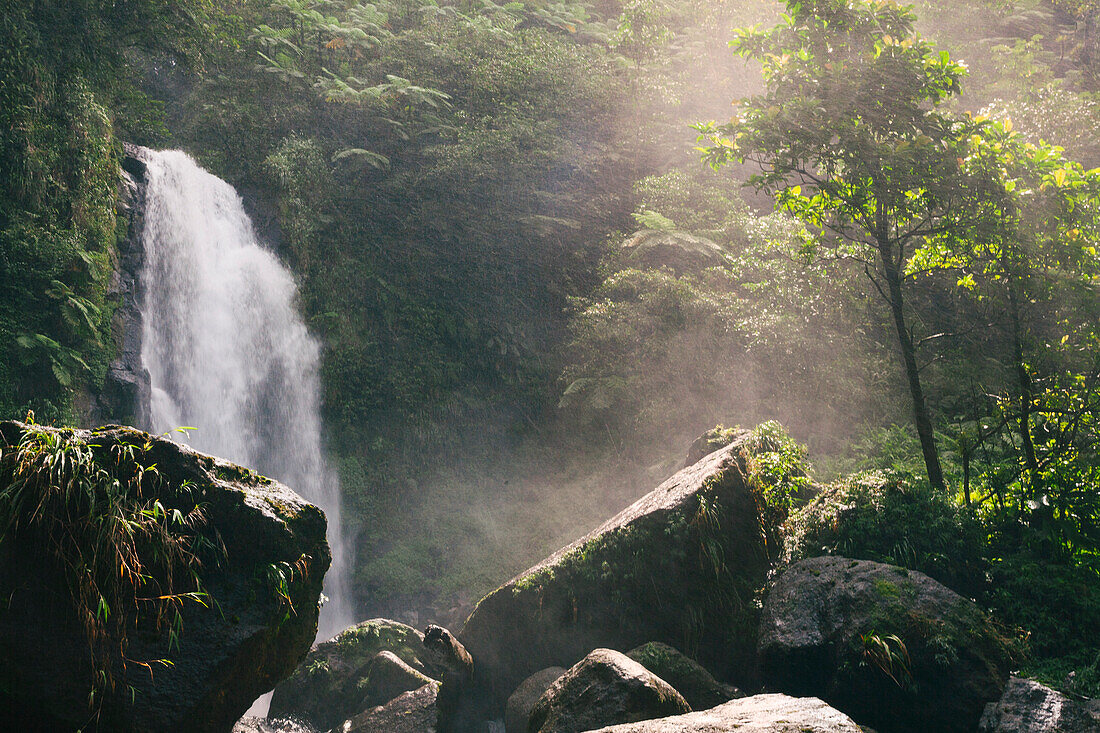 Blick auf das rauschende Wasser der Trafalgar Falls im nebligen Regenwald auf der Karibikinsel Dominica im Morne Trois Pitons National Park,Dominica,Karibik