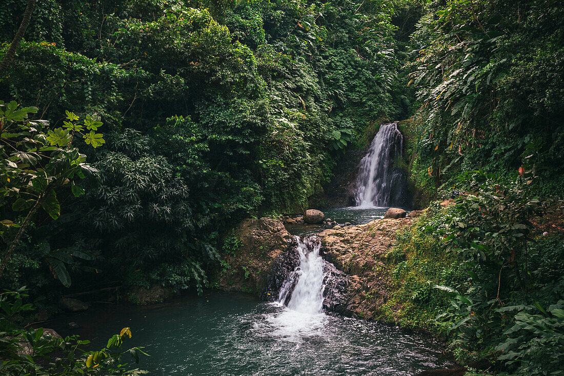 Multi-step waterfalls of the Seven Sisters Waterfalls surrounded by lush vegetation in Grand Etang National Park,Grand Etang National Park & Forest Reserve,Grenada,Caribbean