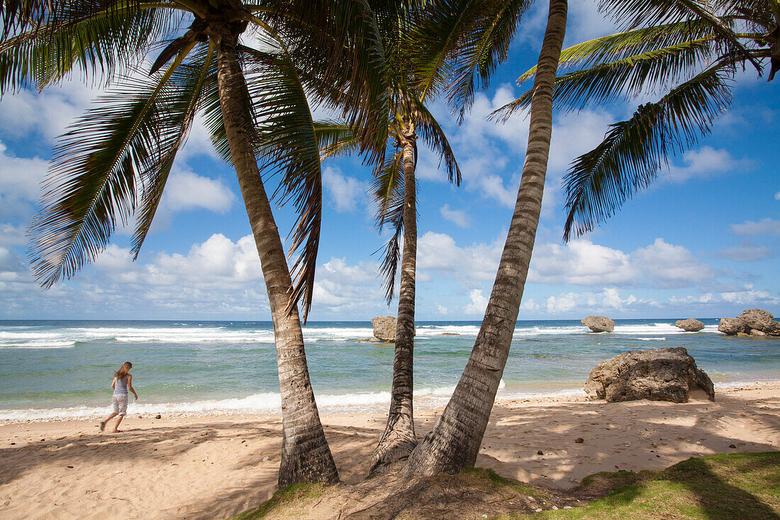 Woman walking along the white sand beach with palm trees lining the seaside shore on a beautiful,sunny day,Bathsheba,Barbados,Caribbean