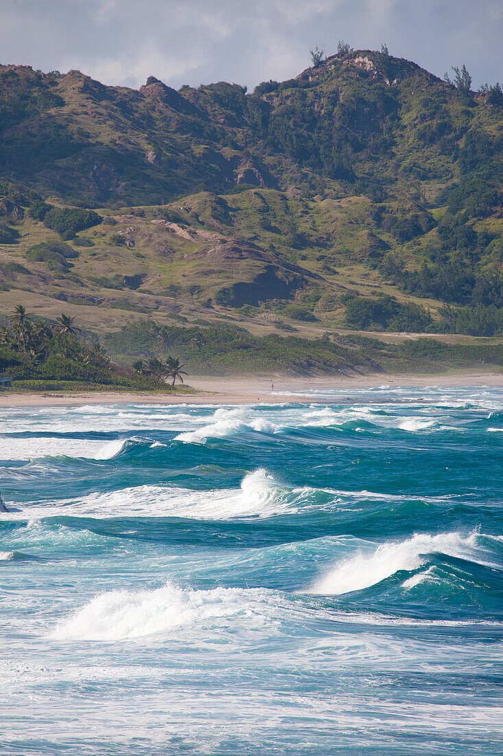 Scenic view with large surf waves at the beach in Bathsheba,Bathsheba,Barbados,Caribbean