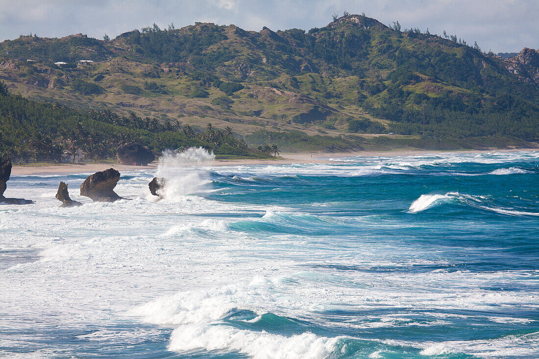 Landschaftliche Ansicht der großen Brandung, Ozeanwellen, die gegen die Felsen am Strand von Bathsheba, Bathsheba, Barbados, Karibik krachen