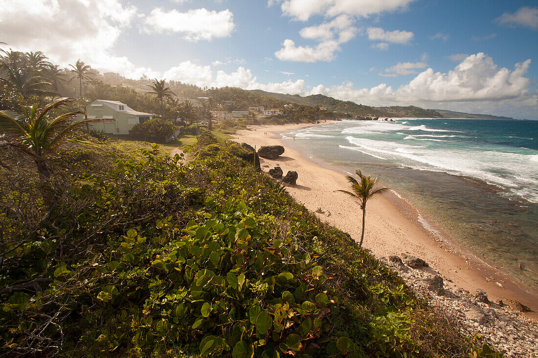 Blick entlang der Küste nach Norden von Bathsheba, Bathsheba, Barbados, Karibik