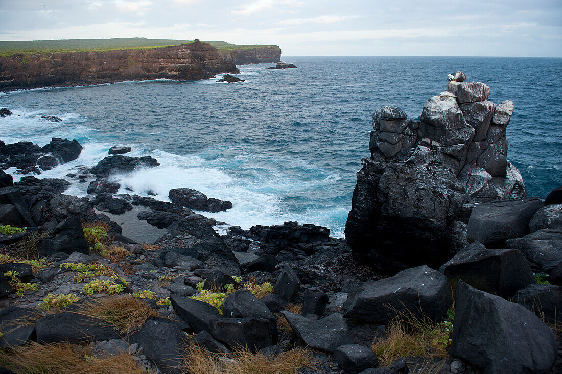 Blick auf die felsige Küste der Insel Espanola im Nationalpark der Galapagos-Inseln,Espanola-Insel,Galapagos-Inseln,Ecuador