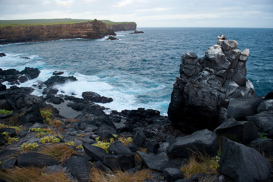 Scenic view of Espanola Island's rocky coastline in Galapagos Islands National Park,Espanola Island,Galapagos Islands,Ecuador
