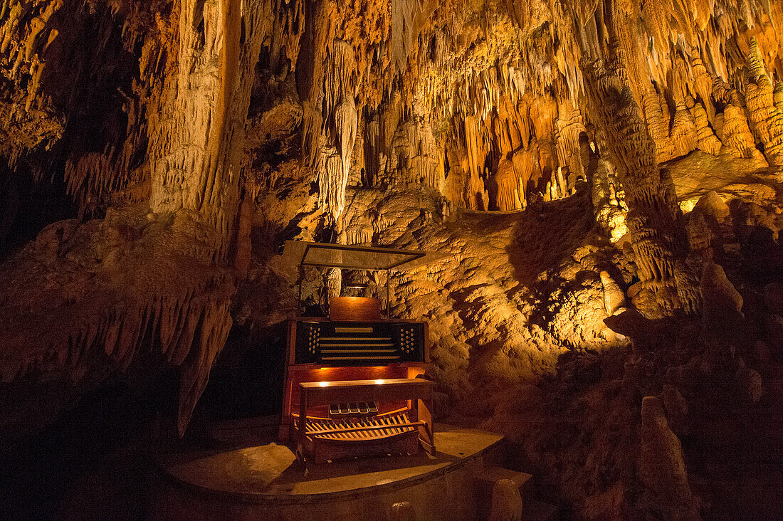 Illuminated Great Stalacpipe Organ in the Luray Caverns of Virginia,USA,Luray,Virginia,United States of America