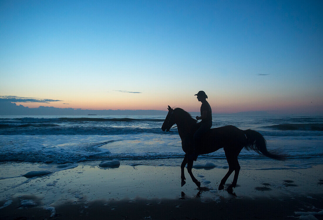 Cowboy reitet sein Pferd bei Sonnenaufgang am Virginia Beach im First Landing State Park,Virginia,USA,Virginia Beach,Virginia,Vereinigte Staaten von Amerika
