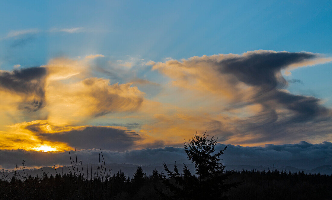 Dramatischer Wintersonnenuntergang mit Virga-Wolken und Waldsilhouette, Olympia, Washington, Vereinigte Staaten von Amerika