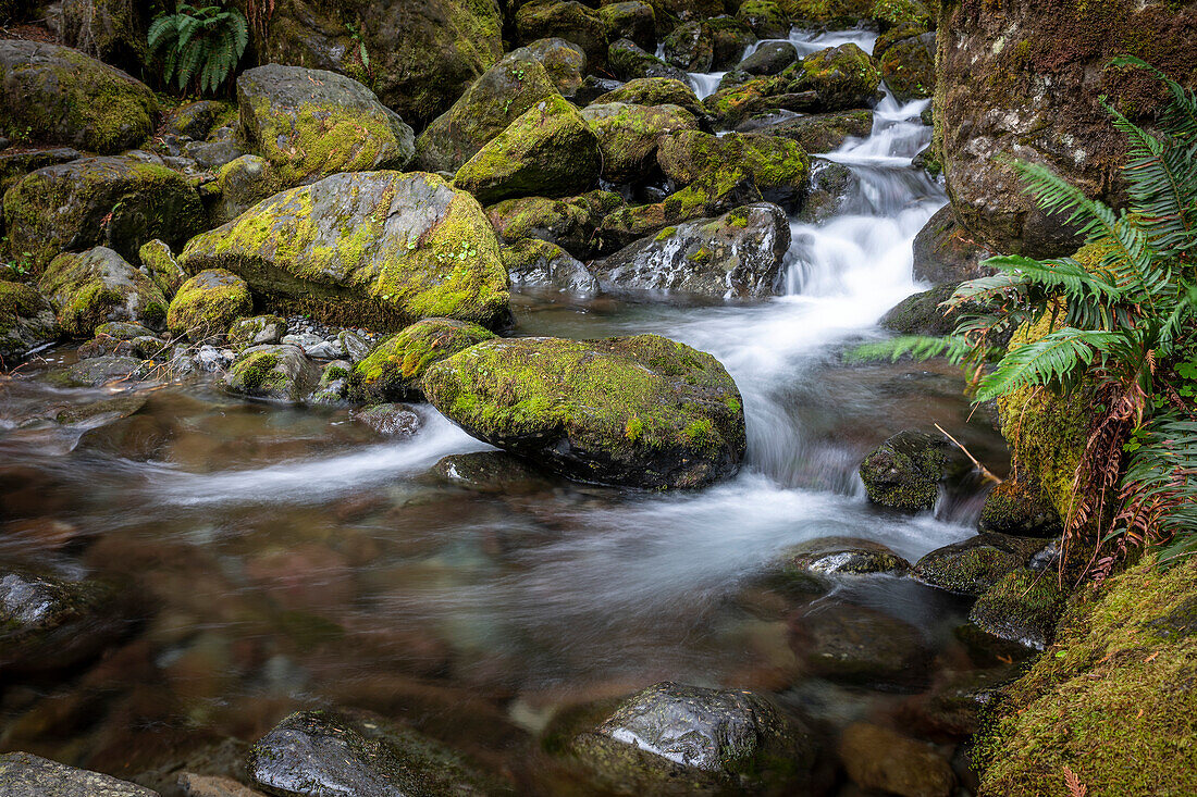 Langzeitbelichtung des rauschenden Wassers, der Felsen und des Mooses der Bunch Falls in der Nähe des Lake Quinault im Olympic National Forest, Amanda Park, Washington, Vereinigte Staaten von Amerika