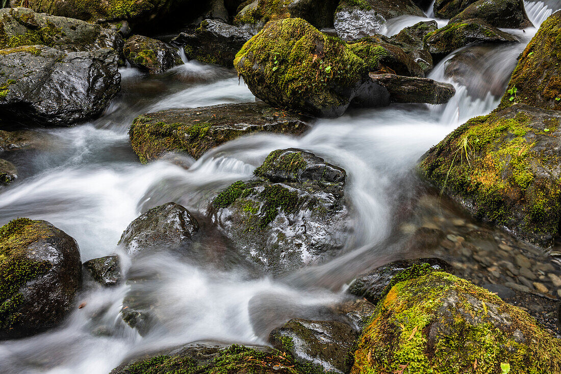 Langzeitbelichtung des rauschenden Wassers, der Felsen und des Mooses der Bunch Falls in der Nähe des Lake Quinault im Olympic National Forest, Amanda Park, Washington, Vereinigte Staaten von Amerika