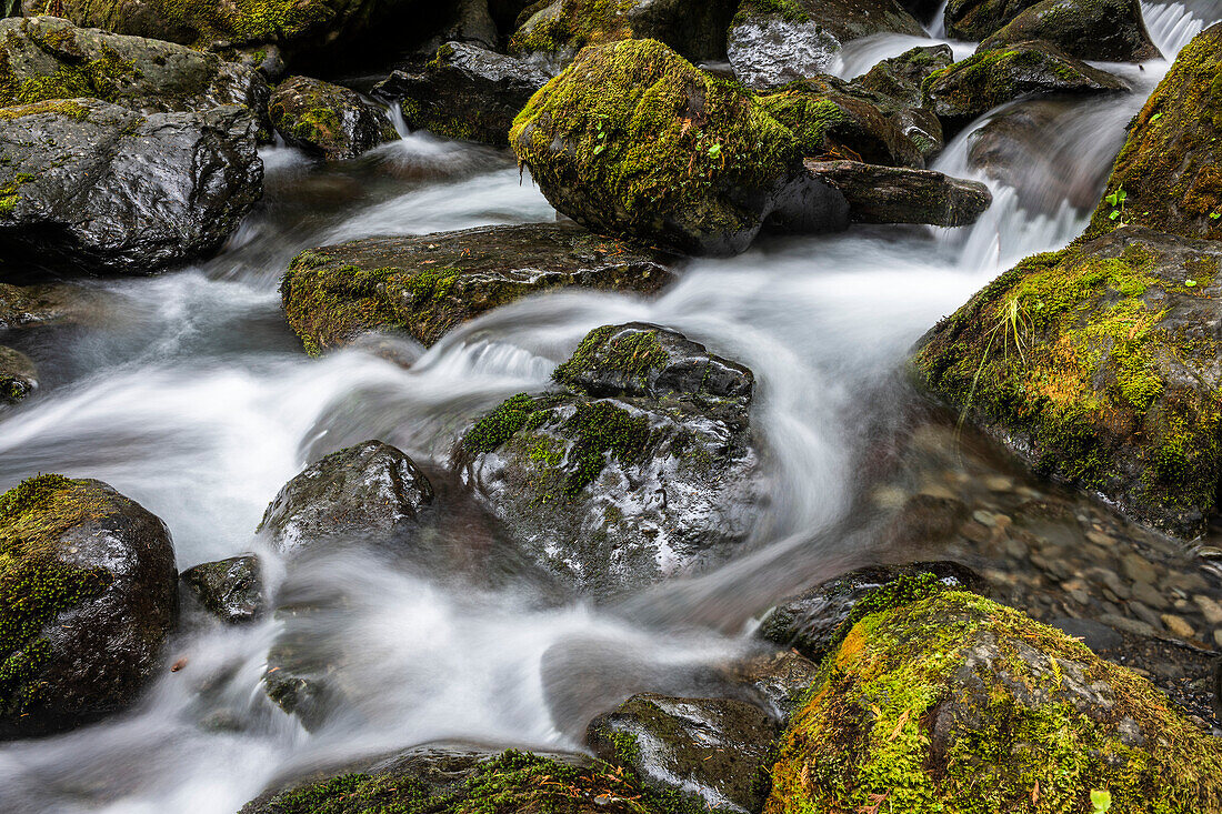 Long Exposure of the rushing water,rocks,and moss of Bunch Falls near Lake Quinault in the Olympic National Forest,Amanda Park,Washington,United States of America