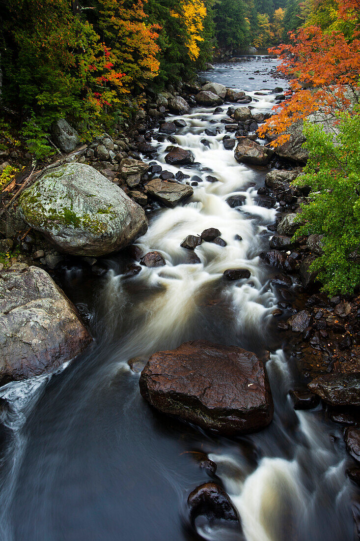 Schnell fließender Westarm des Ausable River im Adirondack Park, New York, USA, New York, Vereinigte Staaten von Amerika