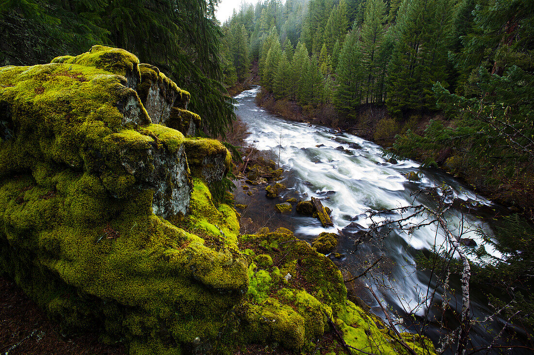 Upper Rogue River fließt durch eine bewaldete Schlucht im Siskiyou National Forest,Oregon,USA,Oregon,Vereinigte Staaten von Amerika