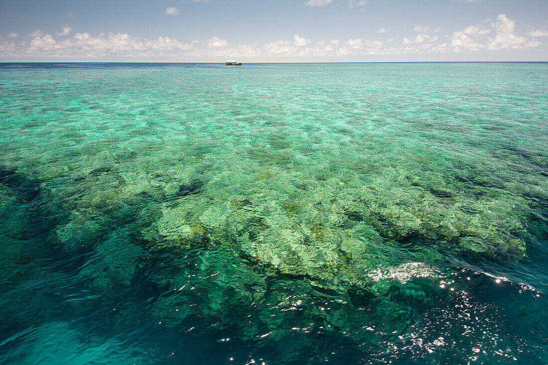 Great Barrier Reef im Korallenmeer, Queensland, Australien